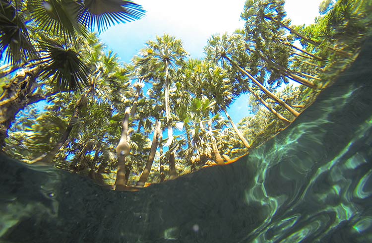 Mataranka Thermal Pools, Darwin